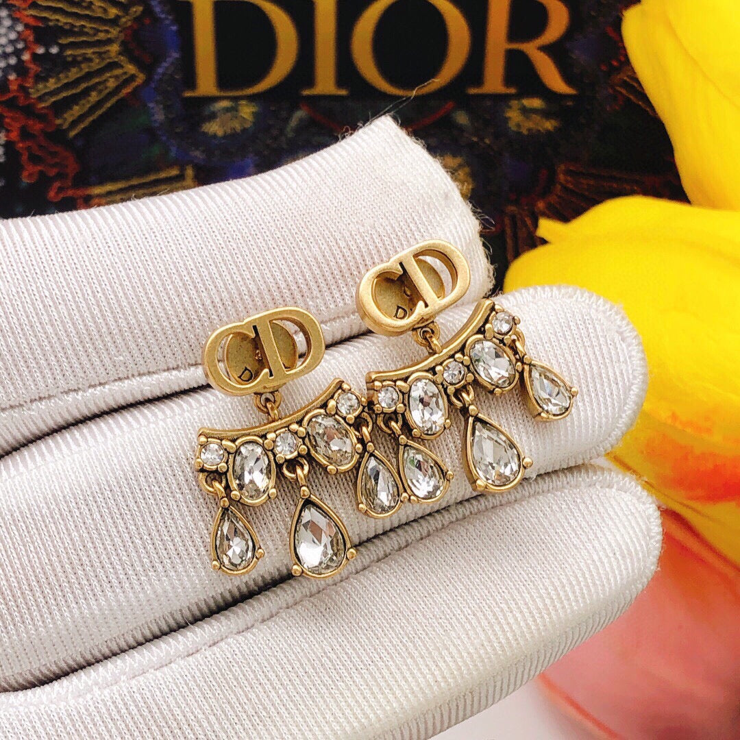 Trendy Drop Drill Earrings