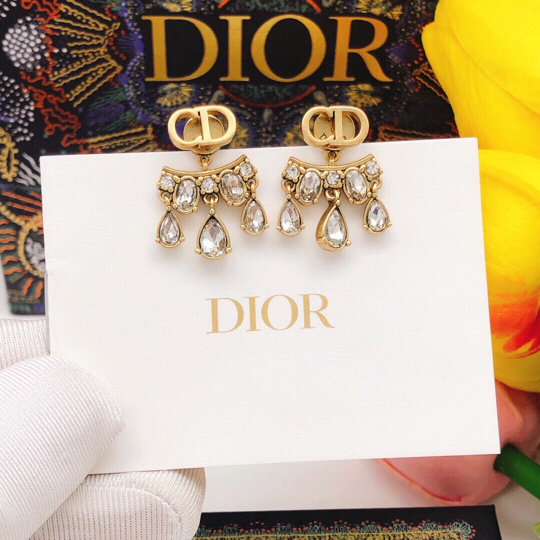 Trendy Drop Drill Earrings