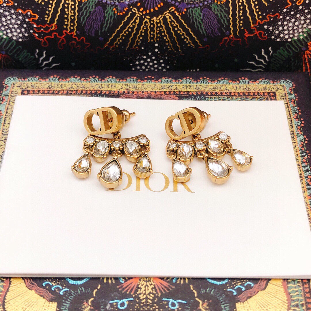 Trendy Drop Drill Earrings